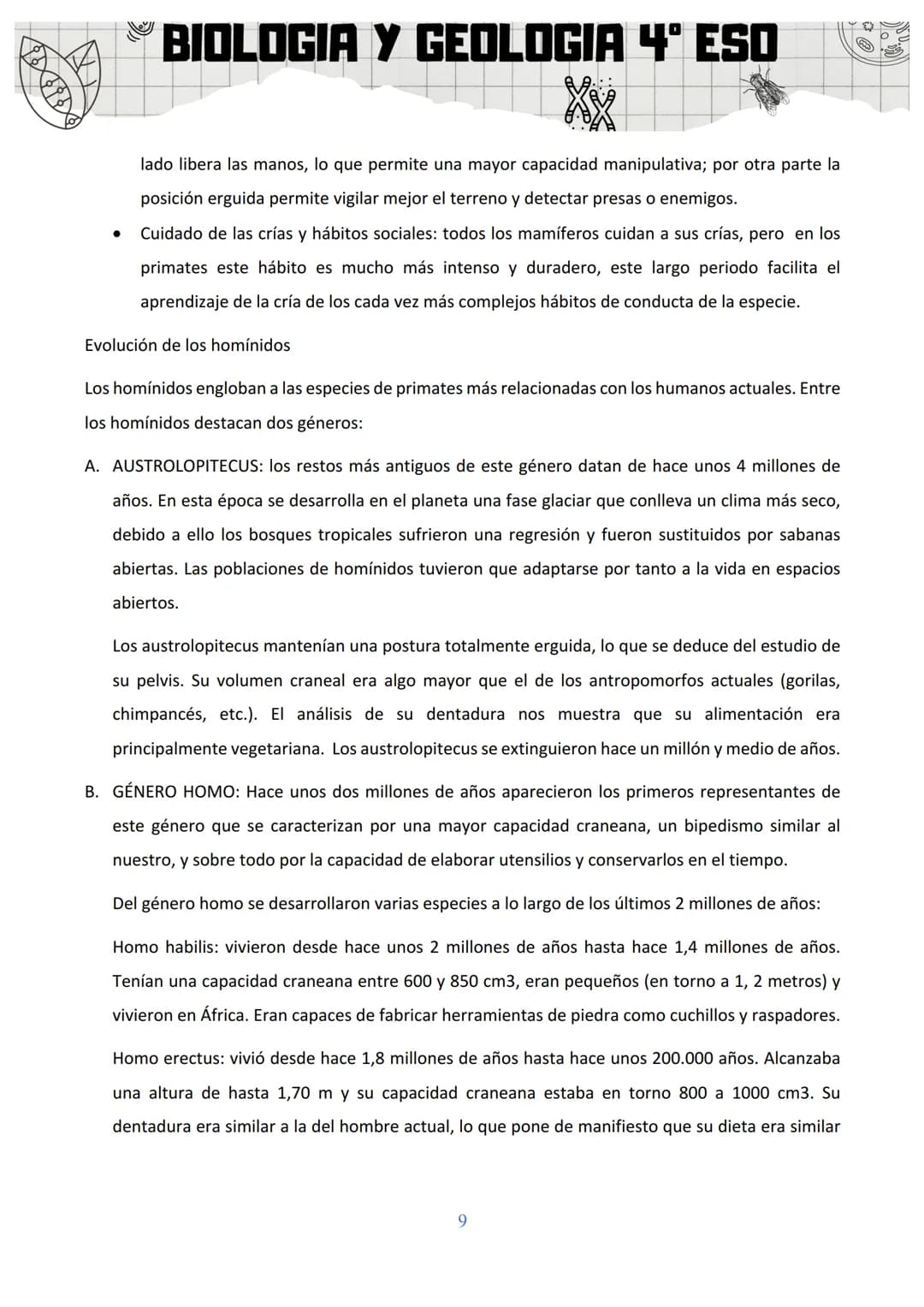BIOLOGIA Y GEOLOGIA 4º ESO
SA 3: ORIGEN Y EVOLUCIÓN DE LOS SERES VIVOS
1. EL ORIGEN DE LA VIDA
Al observar la gran diversidad de la vida, la