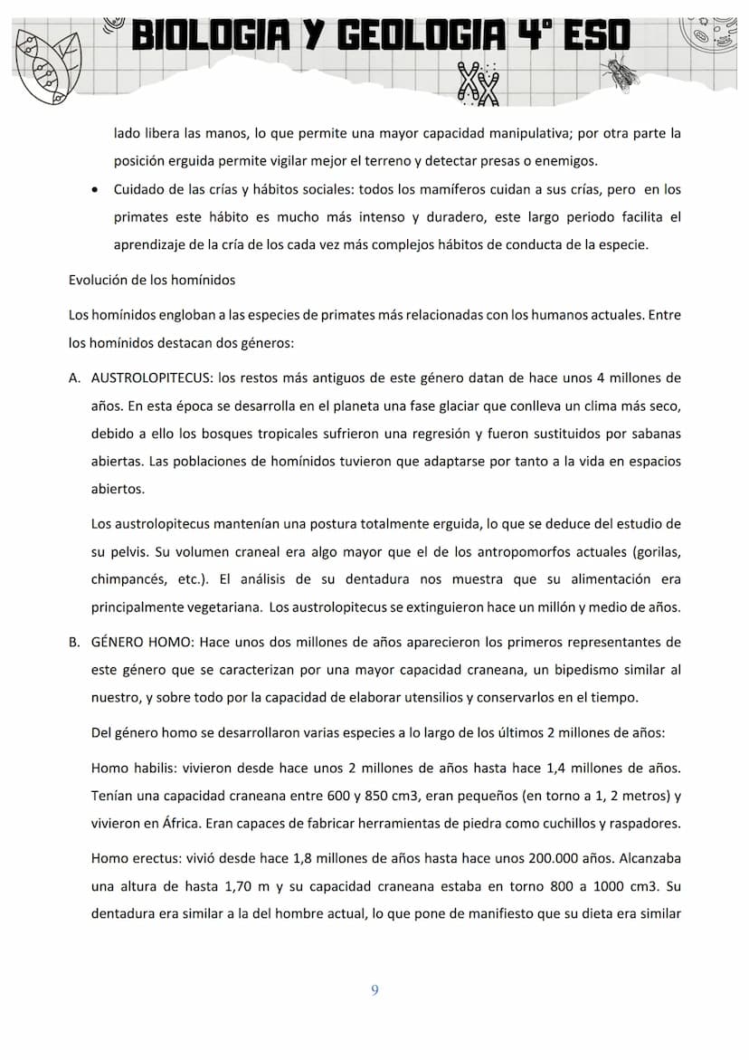 BIOLOGIA Y GEOLOGIA 4º ESO
SA 3: ORIGEN Y EVOLUCIÓN DE LOS SERES VIVOS
1. EL ORIGEN DE LA VIDA
Al observar la gran diversidad de la vida, la
