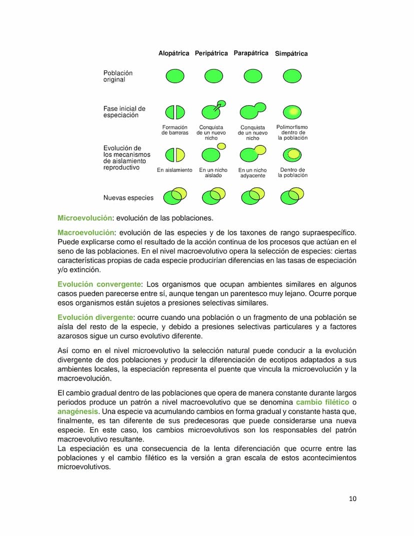 Generalidades de los
fenómenos biologicos
El universo comenzó, según teorías actuales, con una gran explosión o "Big Bang". Antes
de esta ex