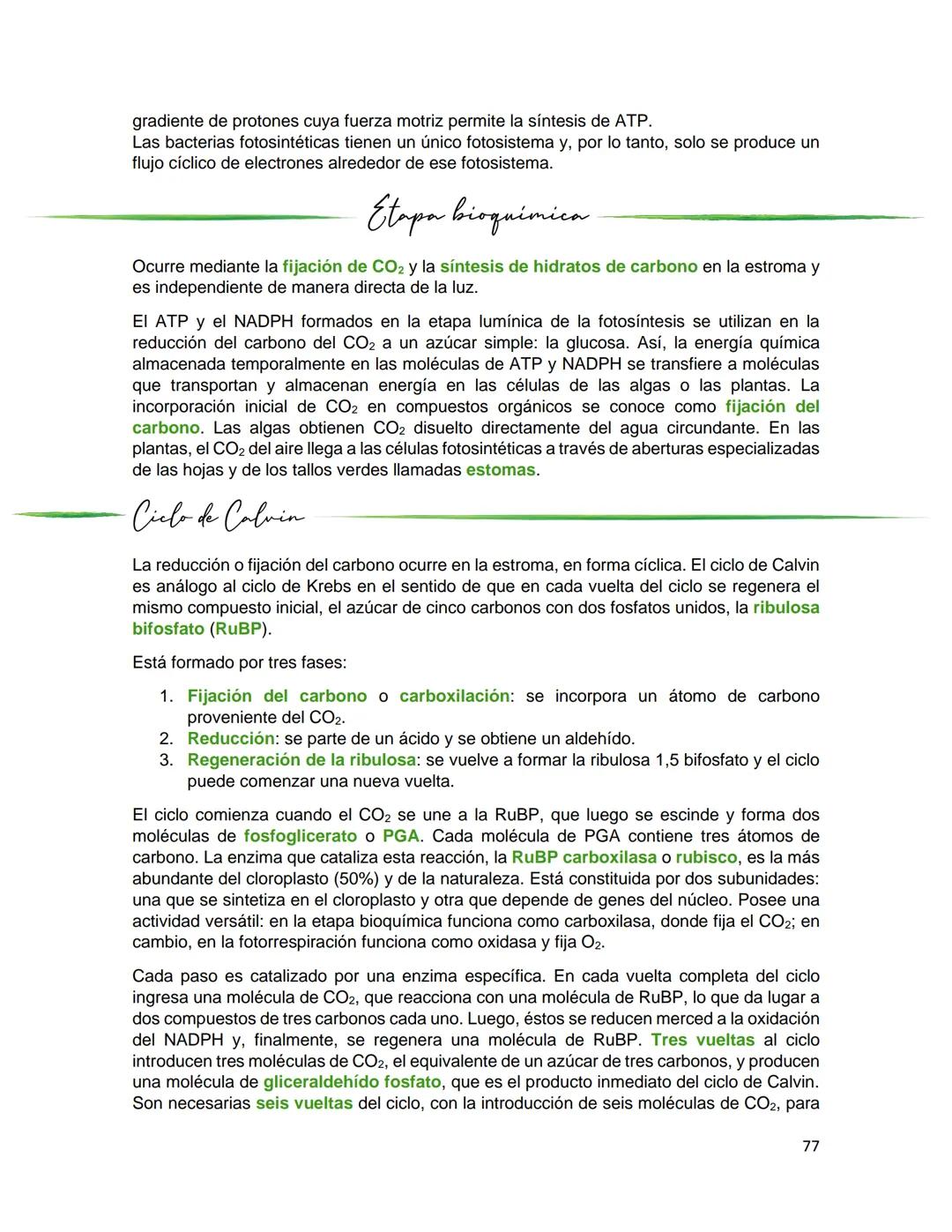 Generalidades de los
fenómenos biologicos
El universo comenzó, según teorías actuales, con una gran explosión o "Big Bang". Antes
de esta ex