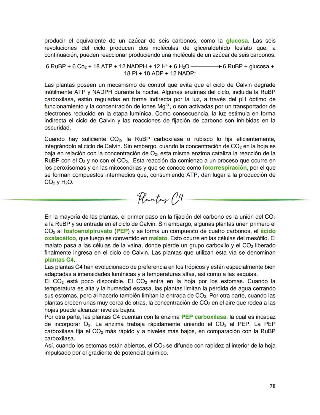 Generalidades de los
fenómenos biologicos
El universo comenzó, según teorías actuales, con una gran explosión o "Big Bang". Antes
de esta ex