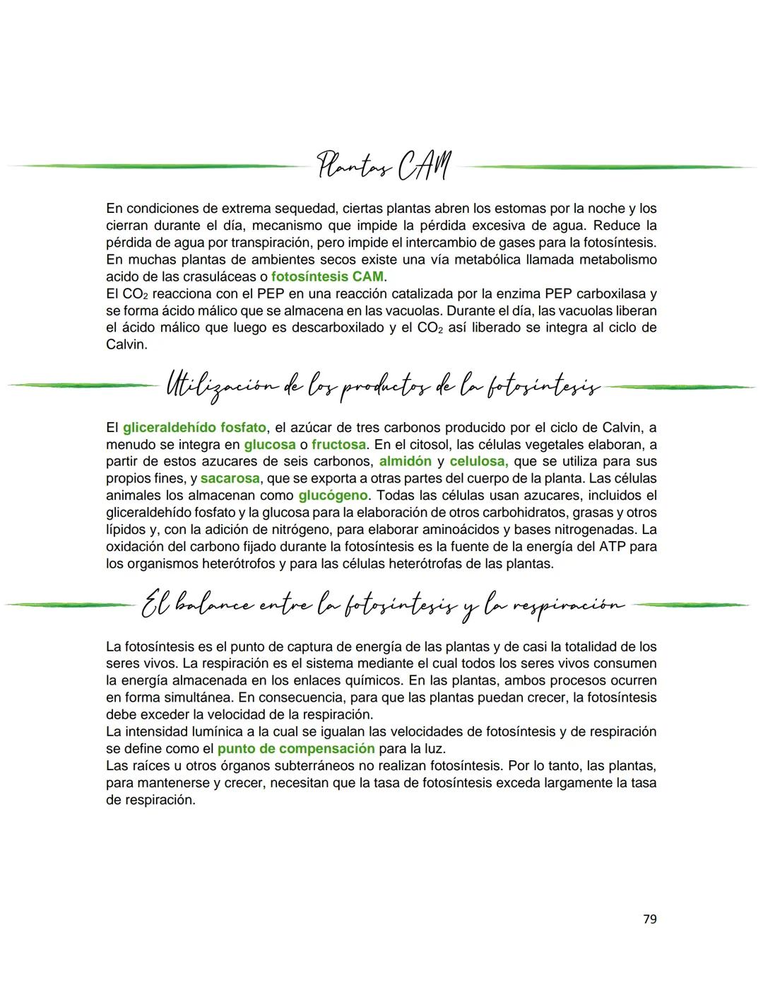 Generalidades de los
fenómenos biologicos
El universo comenzó, según teorías actuales, con una gran explosión o "Big Bang". Antes
de esta ex