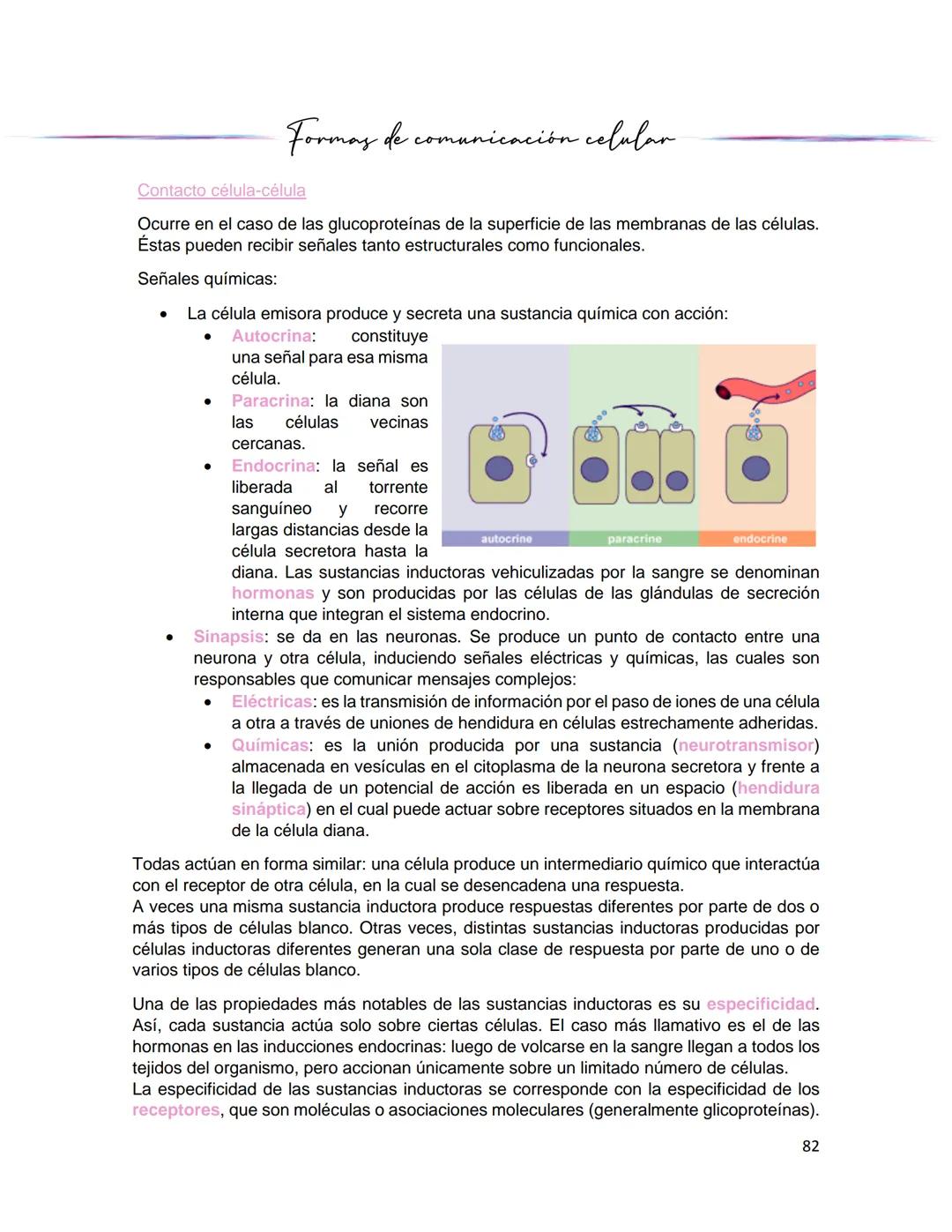 Generalidades de los
fenómenos biologicos
El universo comenzó, según teorías actuales, con una gran explosión o "Big Bang". Antes
de esta ex