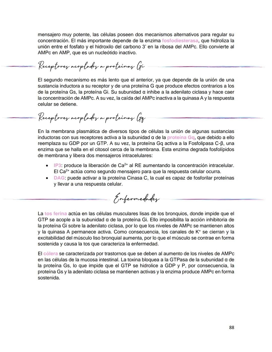 Generalidades de los
fenómenos biologicos
El universo comenzó, según teorías actuales, con una gran explosión o "Big Bang". Antes
de esta ex