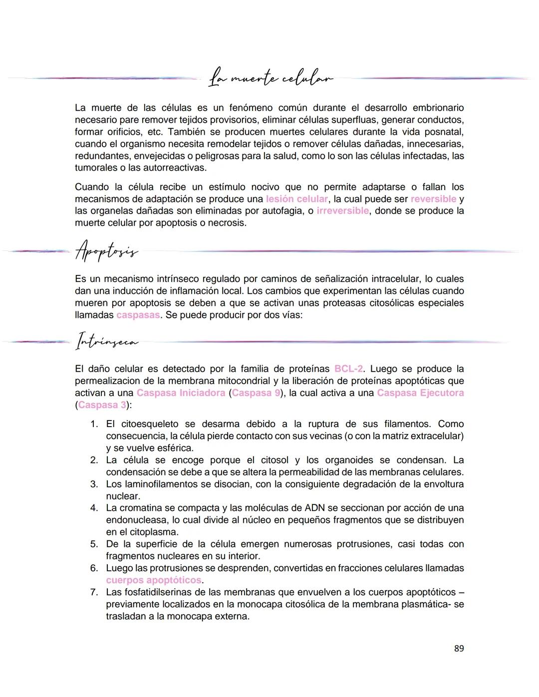 Generalidades de los
fenómenos biologicos
El universo comenzó, según teorías actuales, con una gran explosión o "Big Bang". Antes
de esta ex