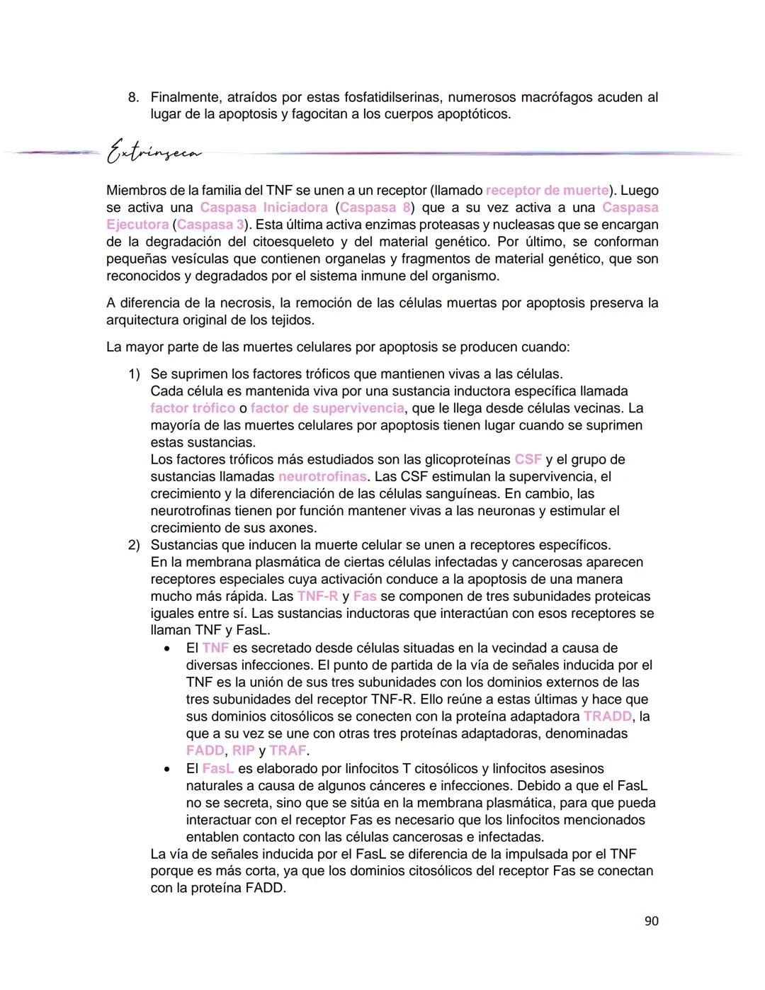 Generalidades de los
fenómenos biologicos
El universo comenzó, según teorías actuales, con una gran explosión o "Big Bang". Antes
de esta ex