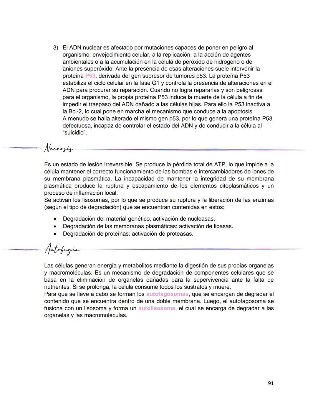 Generalidades de los
fenómenos biologicos
El universo comenzó, según teorías actuales, con una gran explosión o "Big Bang". Antes
de esta ex