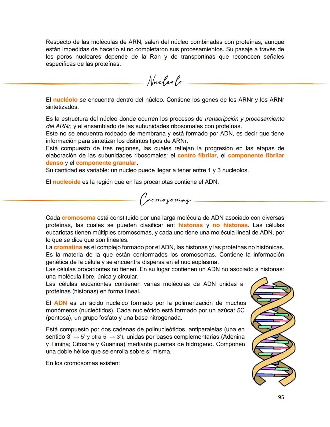 Generalidades de los
fenómenos biologicos
El universo comenzó, según teorías actuales, con una gran explosión o "Big Bang". Antes
de esta ex