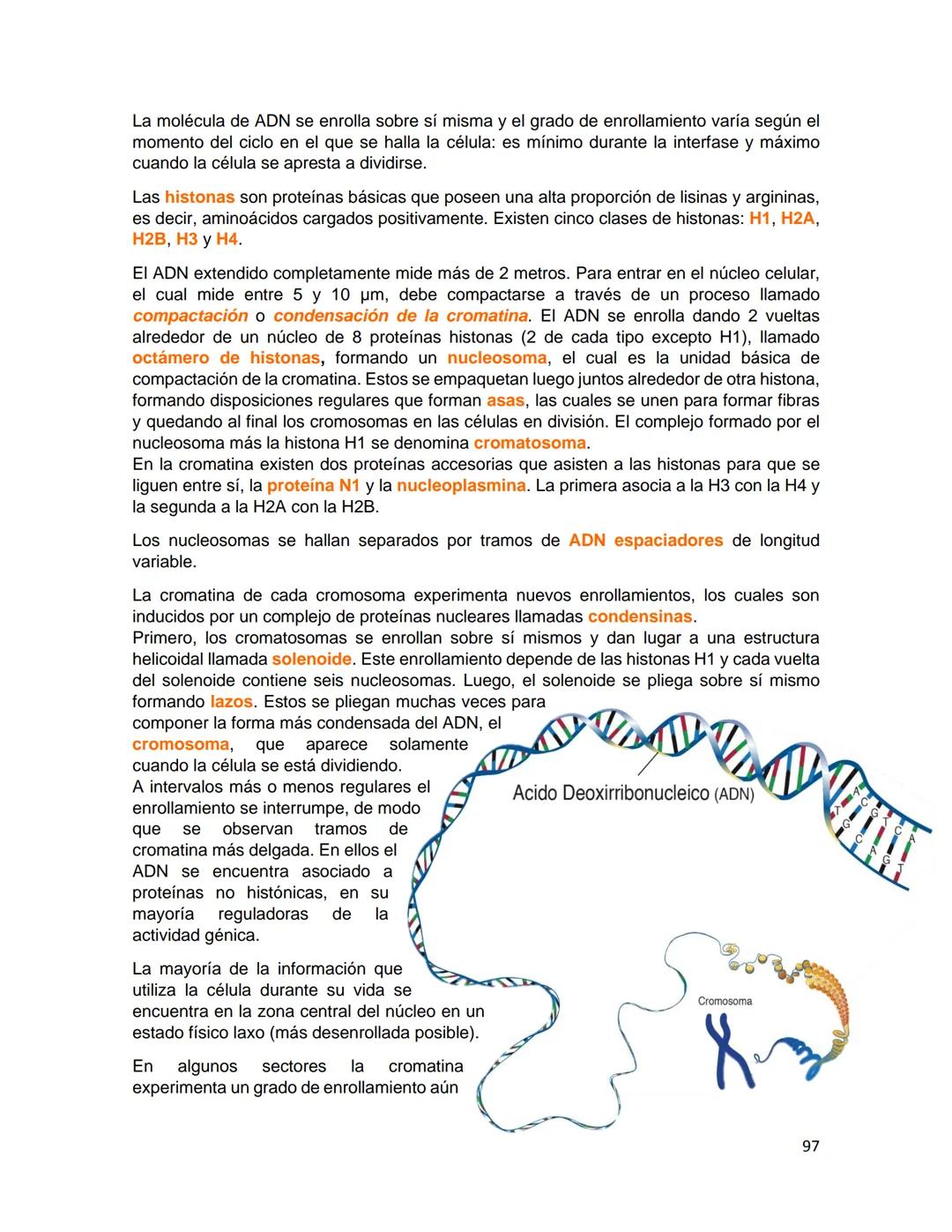 Generalidades de los
fenómenos biologicos
El universo comenzó, según teorías actuales, con una gran explosión o "Big Bang". Antes
de esta ex