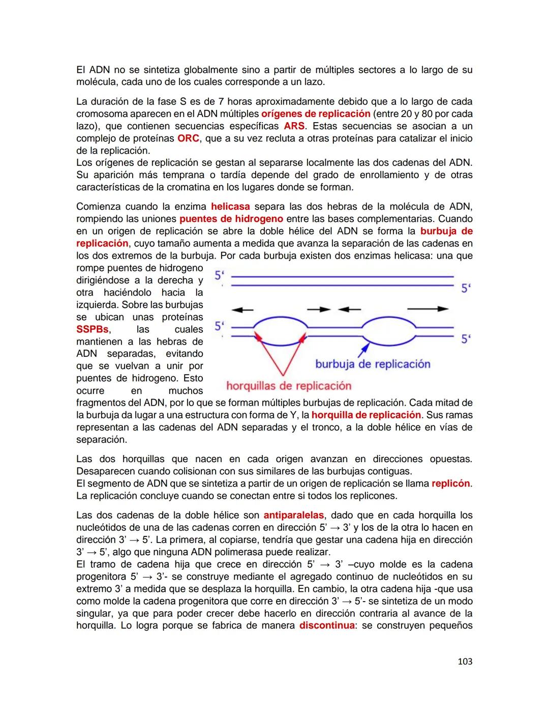 Generalidades de los
fenómenos biologicos
El universo comenzó, según teorías actuales, con una gran explosión o "Big Bang". Antes
de esta ex