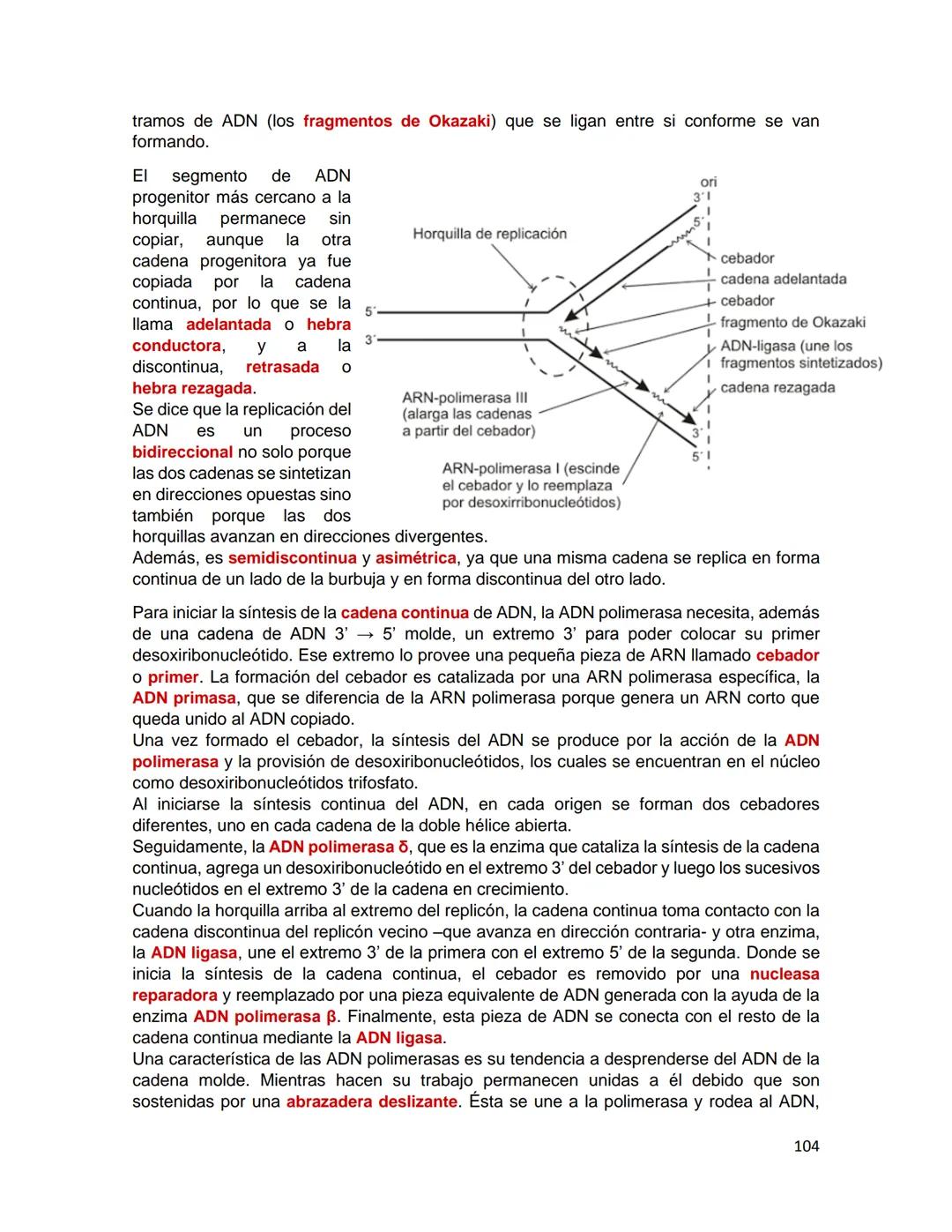 Generalidades de los
fenómenos biologicos
El universo comenzó, según teorías actuales, con una gran explosión o "Big Bang". Antes
de esta ex