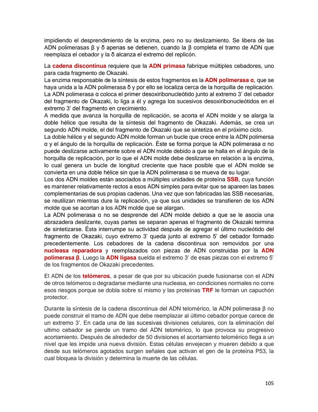 Generalidades de los
fenómenos biologicos
El universo comenzó, según teorías actuales, con una gran explosión o "Big Bang". Antes
de esta ex