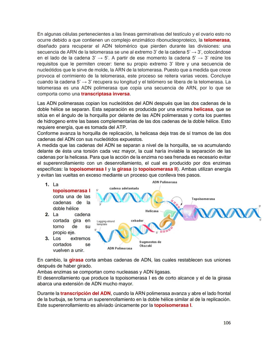 Generalidades de los
fenómenos biologicos
El universo comenzó, según teorías actuales, con una gran explosión o "Big Bang". Antes
de esta ex