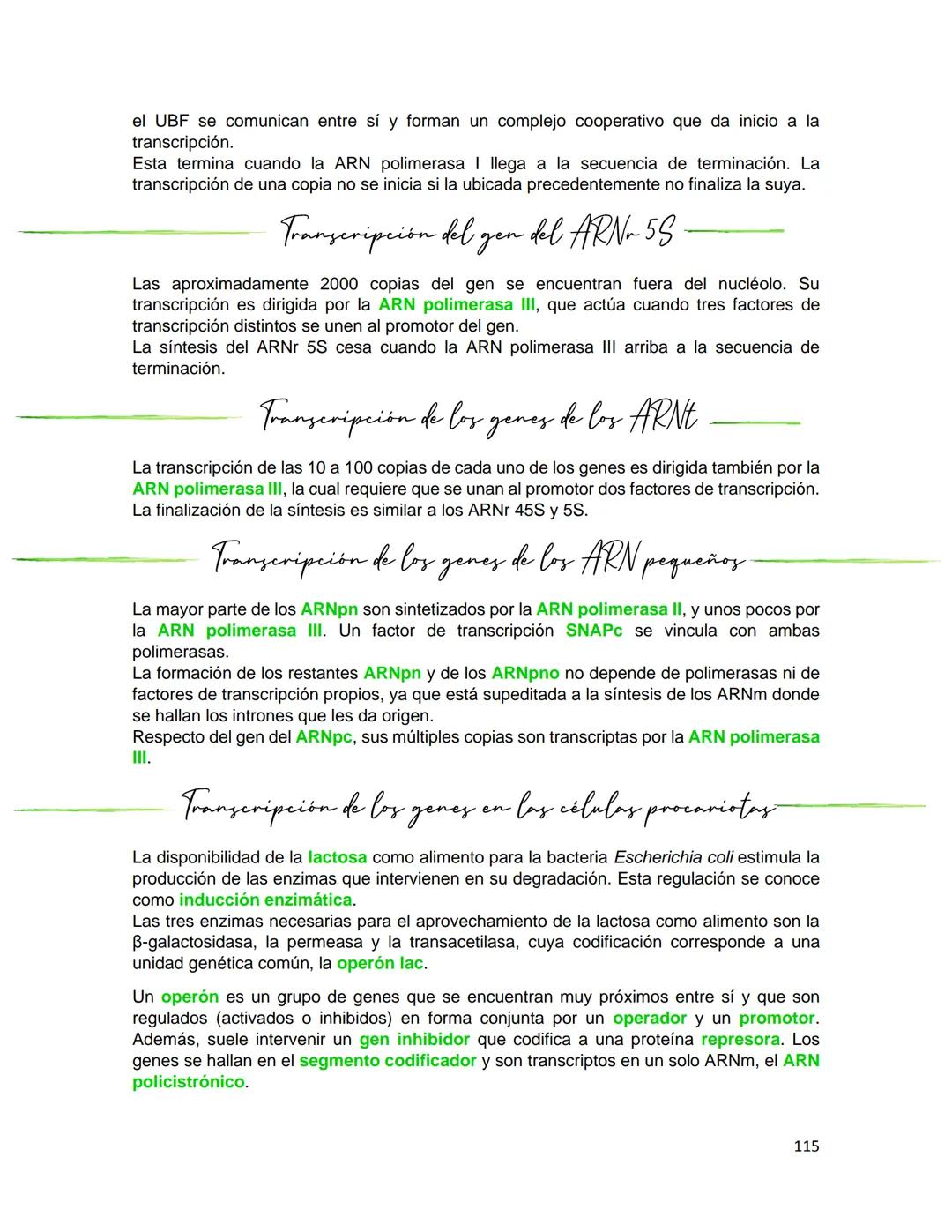 Generalidades de los
fenómenos biologicos
El universo comenzó, según teorías actuales, con una gran explosión o "Big Bang". Antes
de esta ex