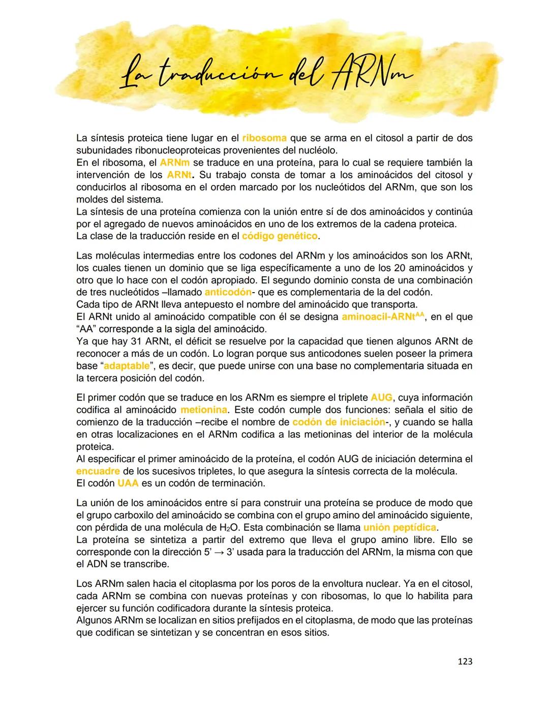 Generalidades de los
fenómenos biologicos
El universo comenzó, según teorías actuales, con una gran explosión o "Big Bang". Antes
de esta ex