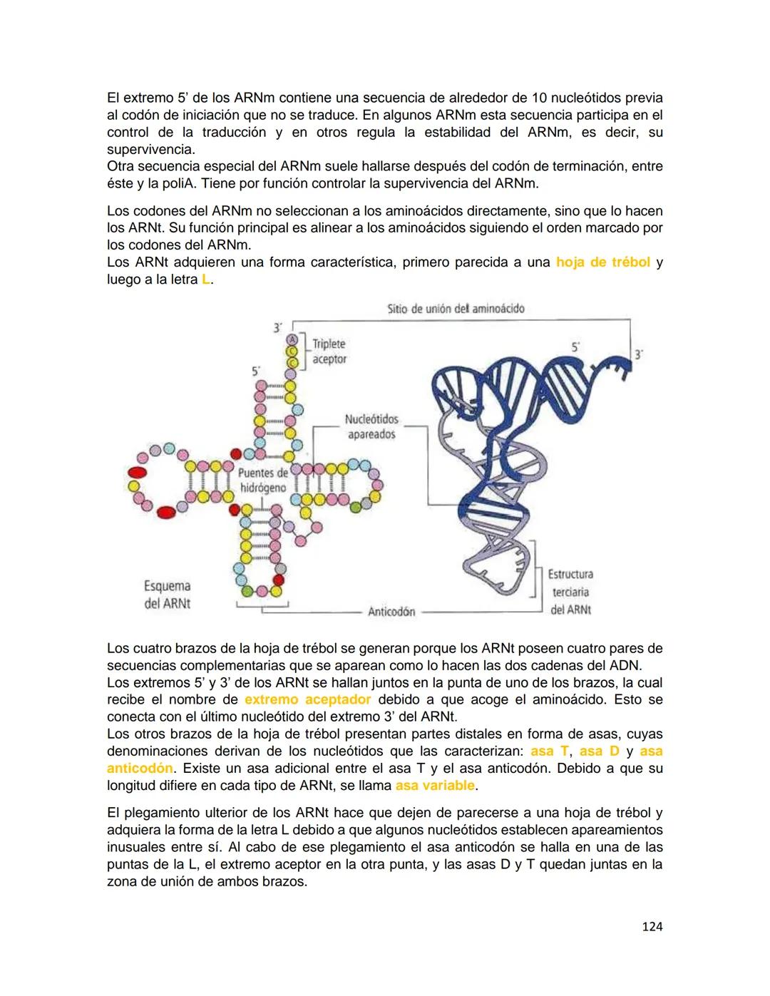 Generalidades de los
fenómenos biologicos
El universo comenzó, según teorías actuales, con una gran explosión o "Big Bang". Antes
de esta ex