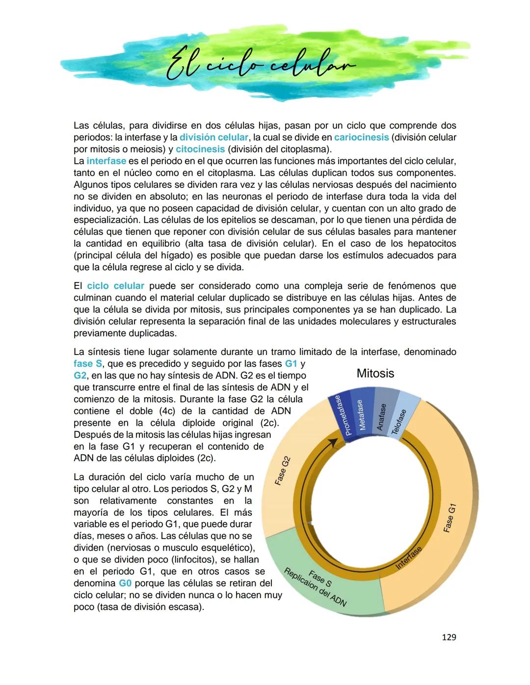 Generalidades de los
fenómenos biologicos
El universo comenzó, según teorías actuales, con una gran explosión o "Big Bang". Antes
de esta ex