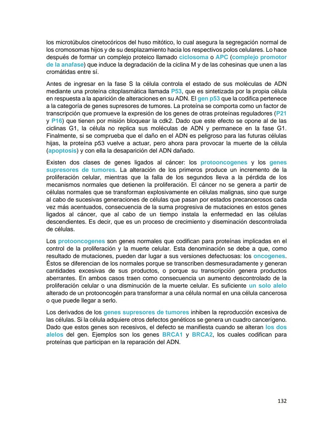 Generalidades de los
fenómenos biologicos
El universo comenzó, según teorías actuales, con una gran explosión o "Big Bang". Antes
de esta ex