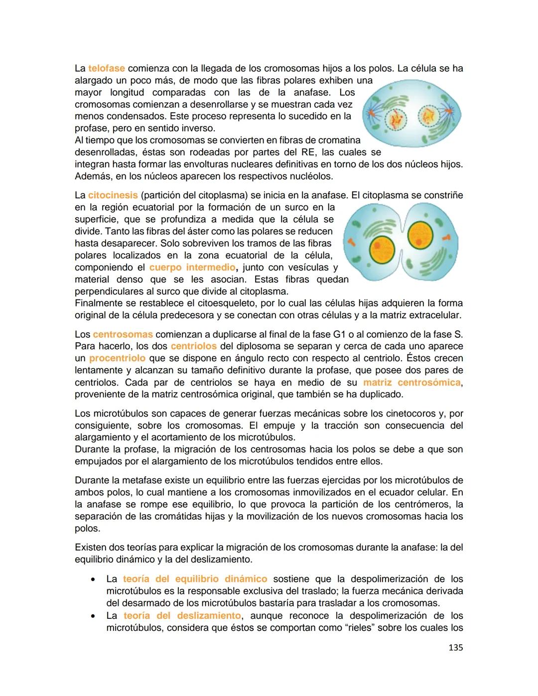 Generalidades de los
fenómenos biologicos
El universo comenzó, según teorías actuales, con una gran explosión o "Big Bang". Antes
de esta ex