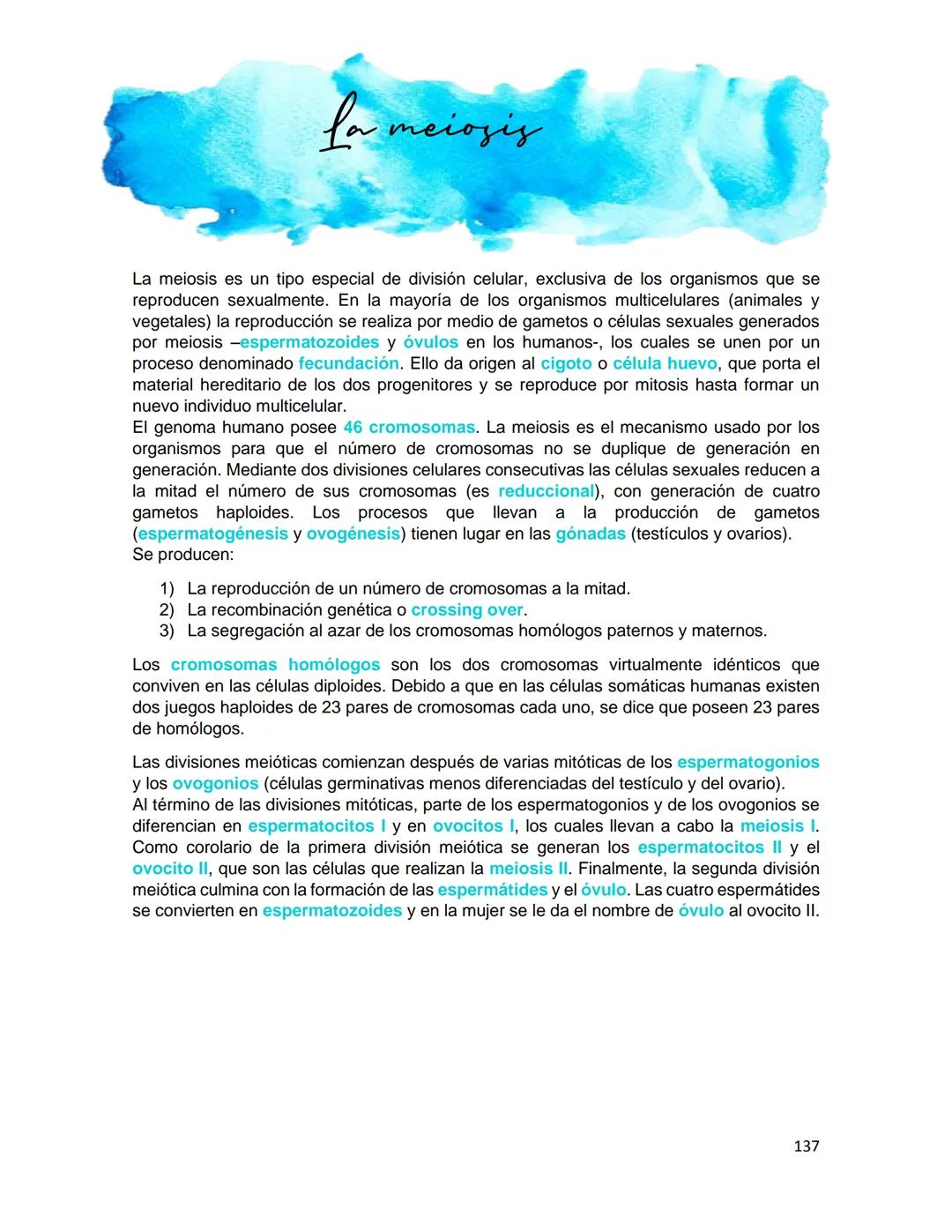 Generalidades de los
fenómenos biologicos
El universo comenzó, según teorías actuales, con una gran explosión o "Big Bang". Antes
de esta ex