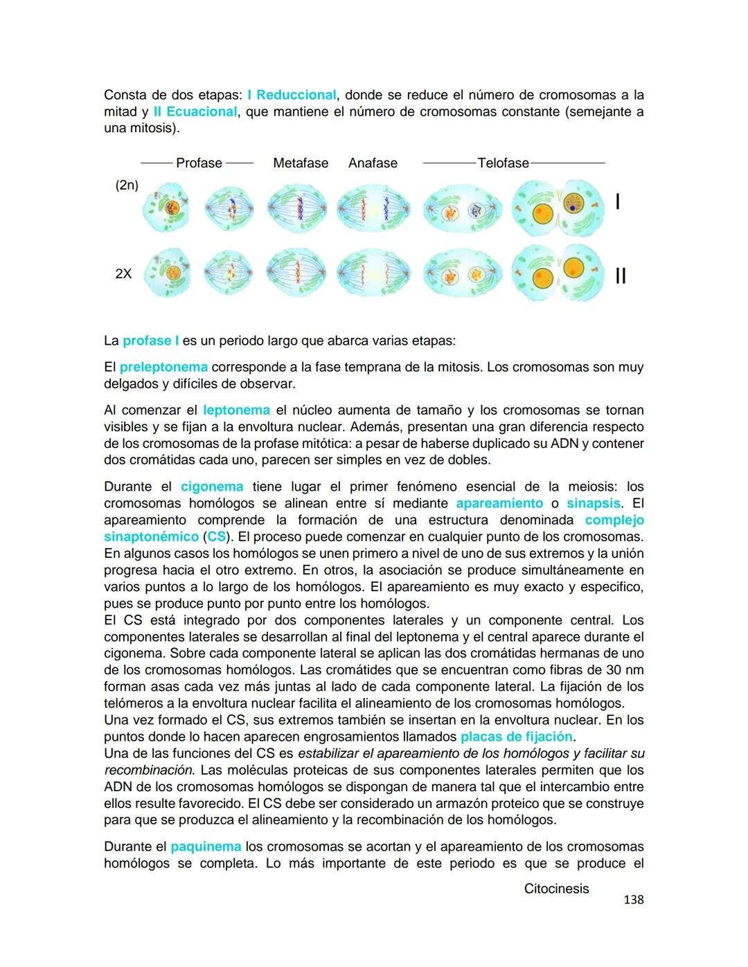 Generalidades de los
fenómenos biologicos
El universo comenzó, según teorías actuales, con una gran explosión o "Big Bang". Antes
de esta ex