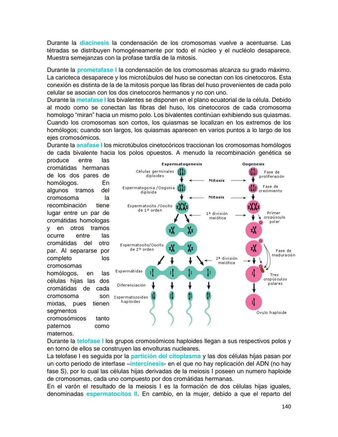 Generalidades de los
fenómenos biologicos
El universo comenzó, según teorías actuales, con una gran explosión o "Big Bang". Antes
de esta ex