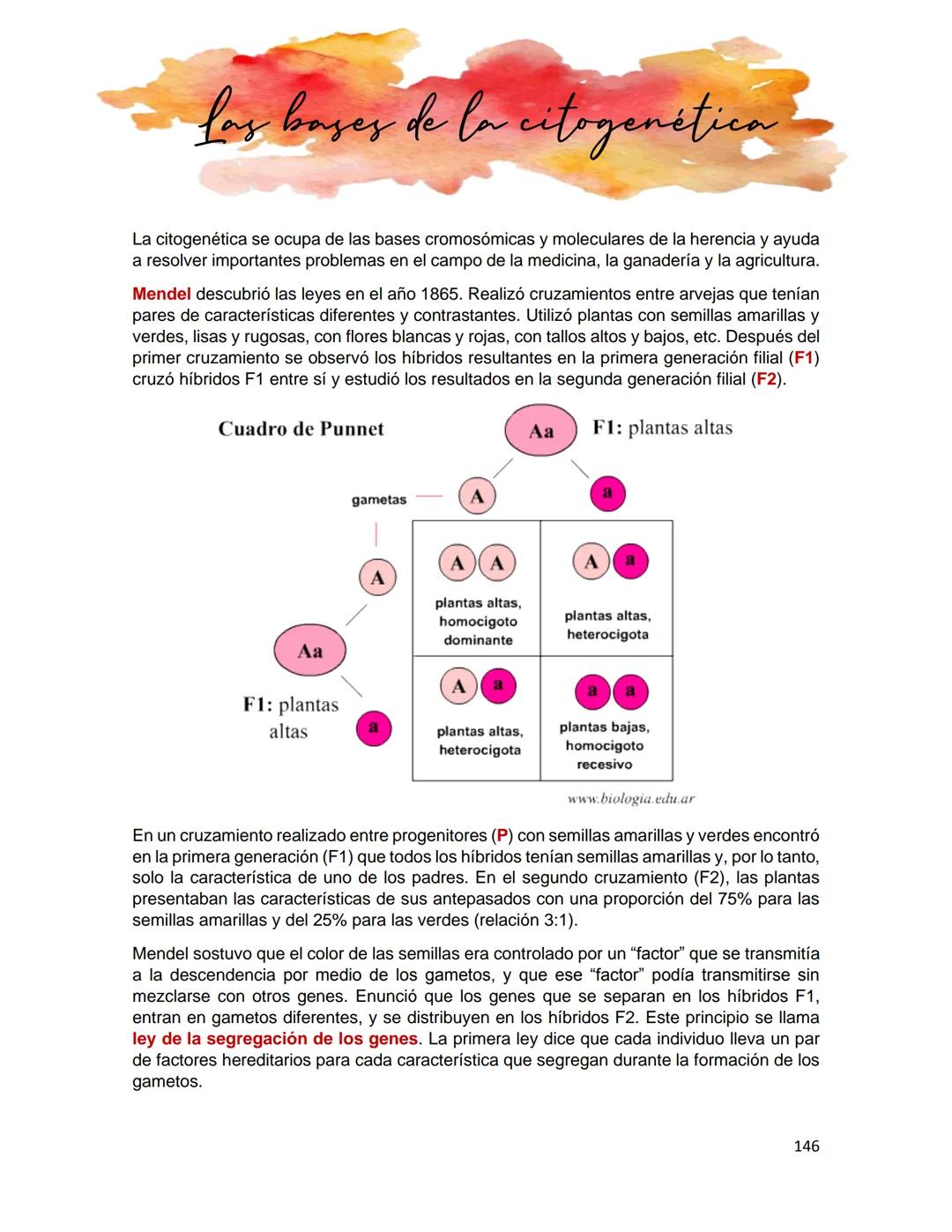 Generalidades de los
fenómenos biologicos
El universo comenzó, según teorías actuales, con una gran explosión o "Big Bang". Antes
de esta ex