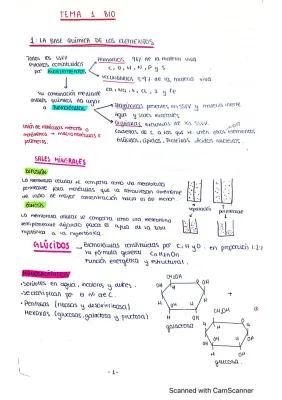 Know TEMA 1 BIOLOGÍA: “La especialización celular”  thumbnail