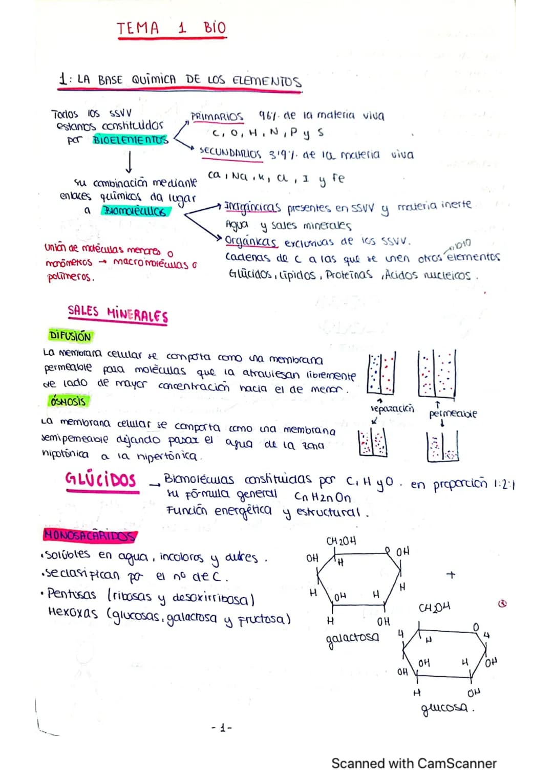 ΤΕΜΑ 1 BIO
1: LA BASE QUIMICA DE LOS ELEMENTOS
Todos los SSVV
estamos constituidos
por BIOELEMENTOS
↓
su combinación mediante
enlaces quimic