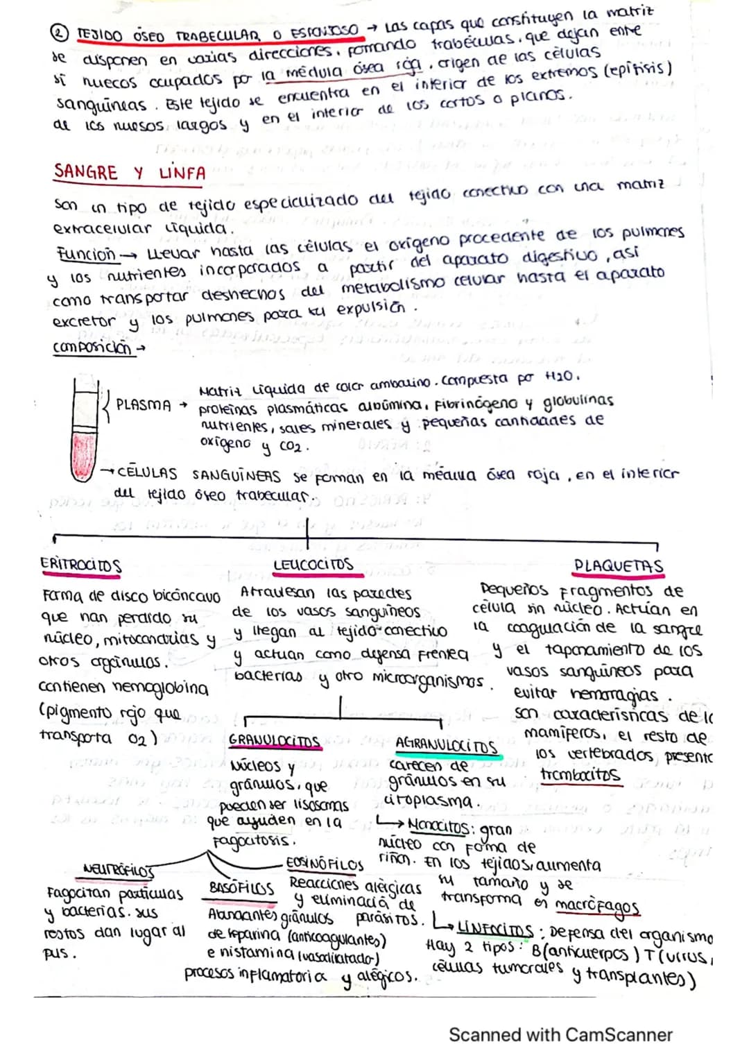 ΤΕΜΑ 1 BIO
1: LA BASE QUIMICA DE LOS ELEMENTOS
Todos los SSVV
estamos constituidos
por BIOELEMENTOS
↓
su combinación mediante
enlaces quimic