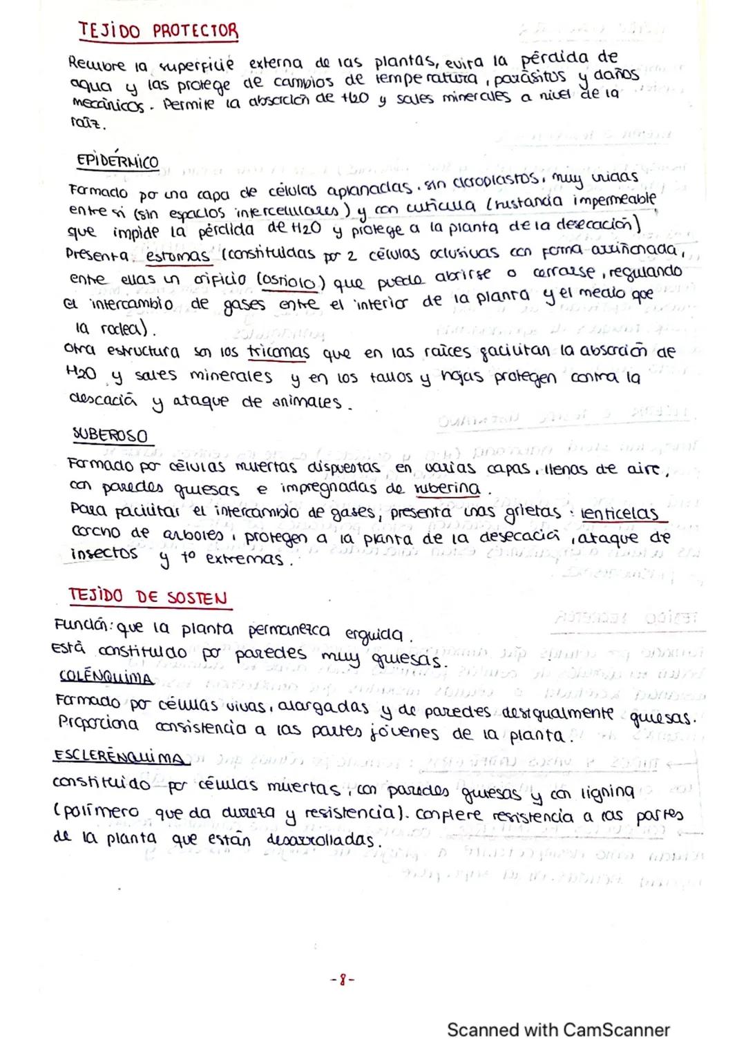 ΤΕΜΑ 1 BIO
1: LA BASE QUIMICA DE LOS ELEMENTOS
Todos los SSVV
estamos constituidos
por BIOELEMENTOS
↓
su combinación mediante
enlaces quimic