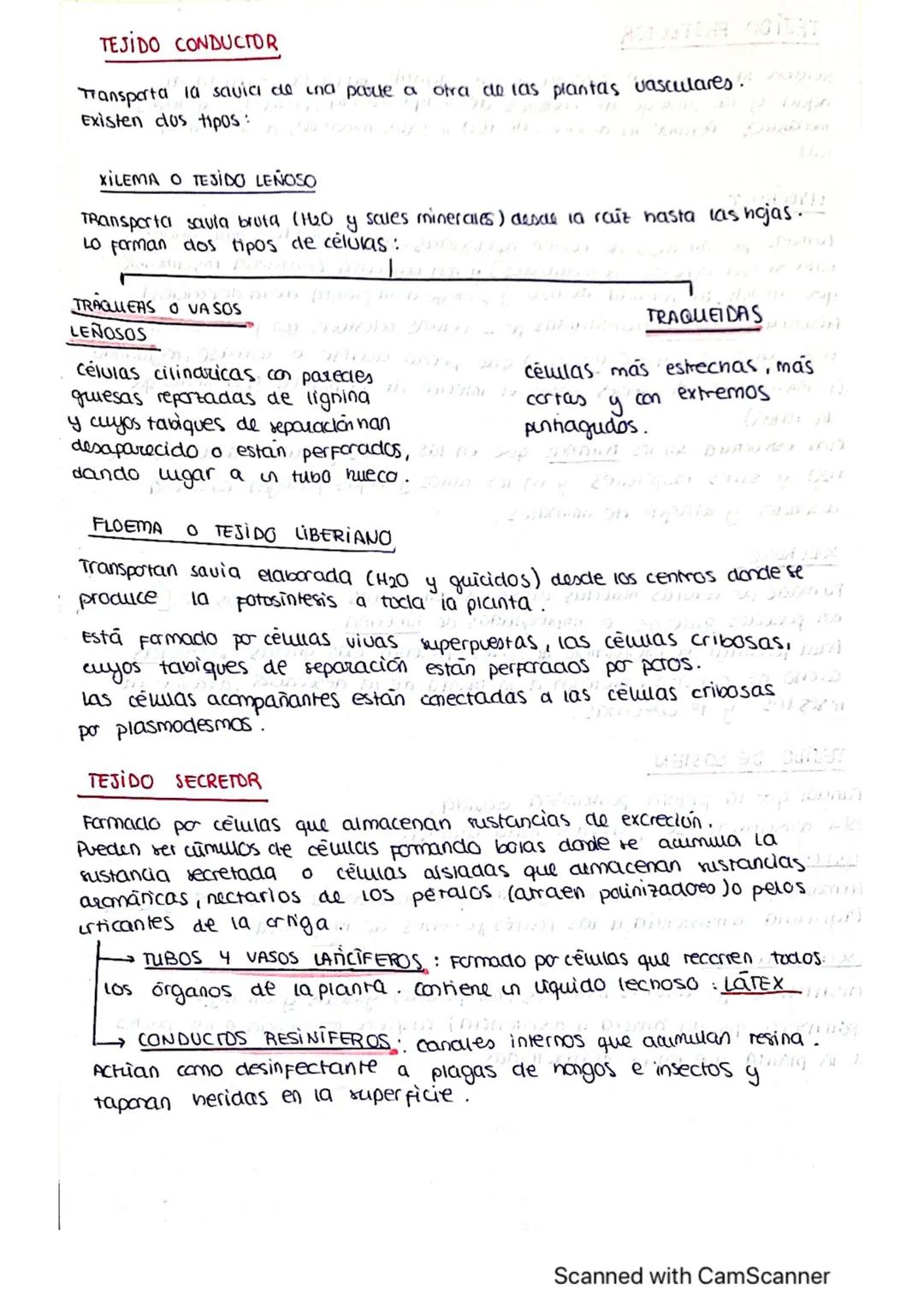 ΤΕΜΑ 1 BIO
1: LA BASE QUIMICA DE LOS ELEMENTOS
Todos los SSVV
estamos constituidos
por BIOELEMENTOS
↓
su combinación mediante
enlaces quimic