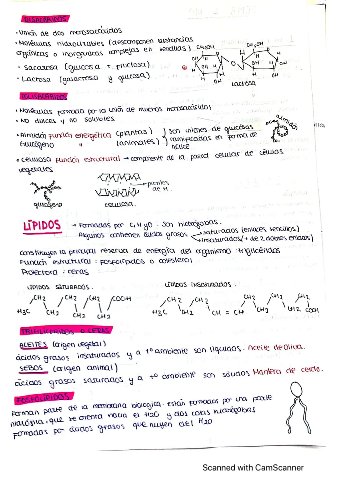 ΤΕΜΑ 1 BIO
1: LA BASE QUIMICA DE LOS ELEMENTOS
Todos los SSVV
estamos constituidos
por BIOELEMENTOS
↓
su combinación mediante
enlaces quimic