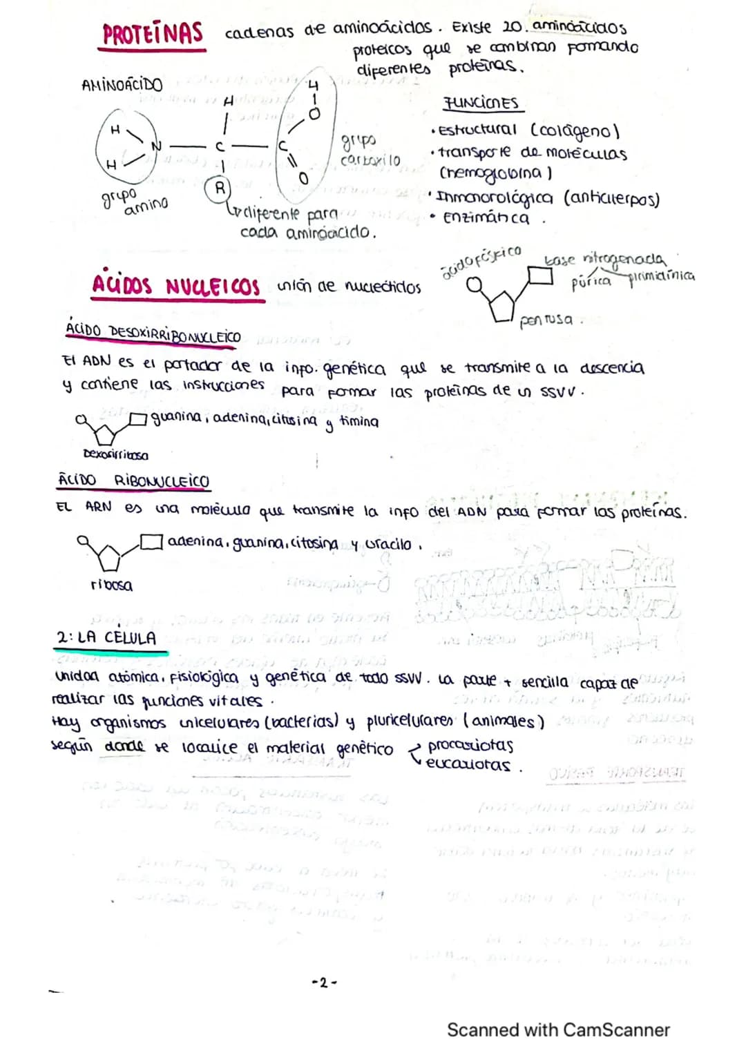 ΤΕΜΑ 1 BIO
1: LA BASE QUIMICA DE LOS ELEMENTOS
Todos los SSVV
estamos constituidos
por BIOELEMENTOS
↓
su combinación mediante
enlaces quimic