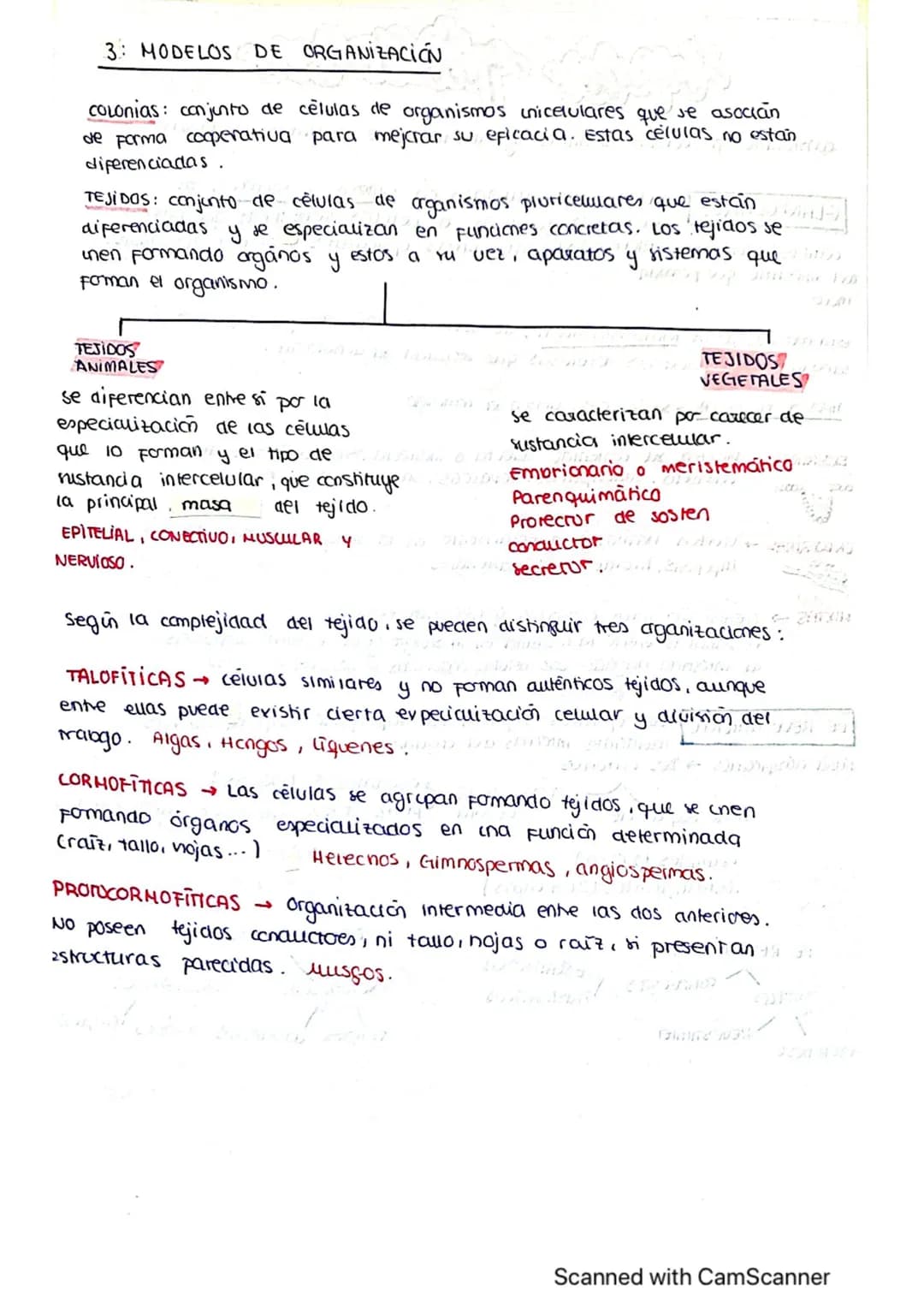 ΤΕΜΑ 1 BIO
1: LA BASE QUIMICA DE LOS ELEMENTOS
Todos los SSVV
estamos constituidos
por BIOELEMENTOS
↓
su combinación mediante
enlaces quimic