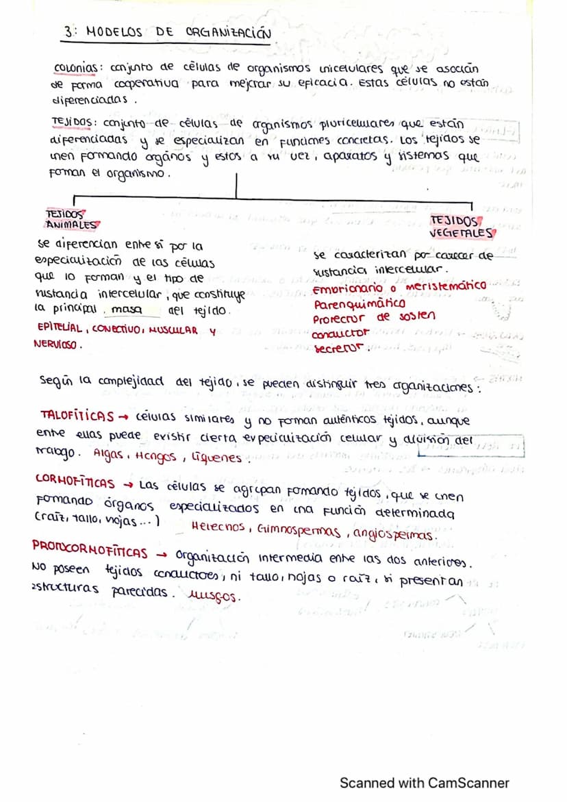 ΤΕΜΑ 1 BIO
1: LA BASE QUIMICA DE LOS ELEMENTOS
Todos los SSVV
estamos constituidos
por BIOELEMENTOS
↓
su combinación mediante
enlaces quimic