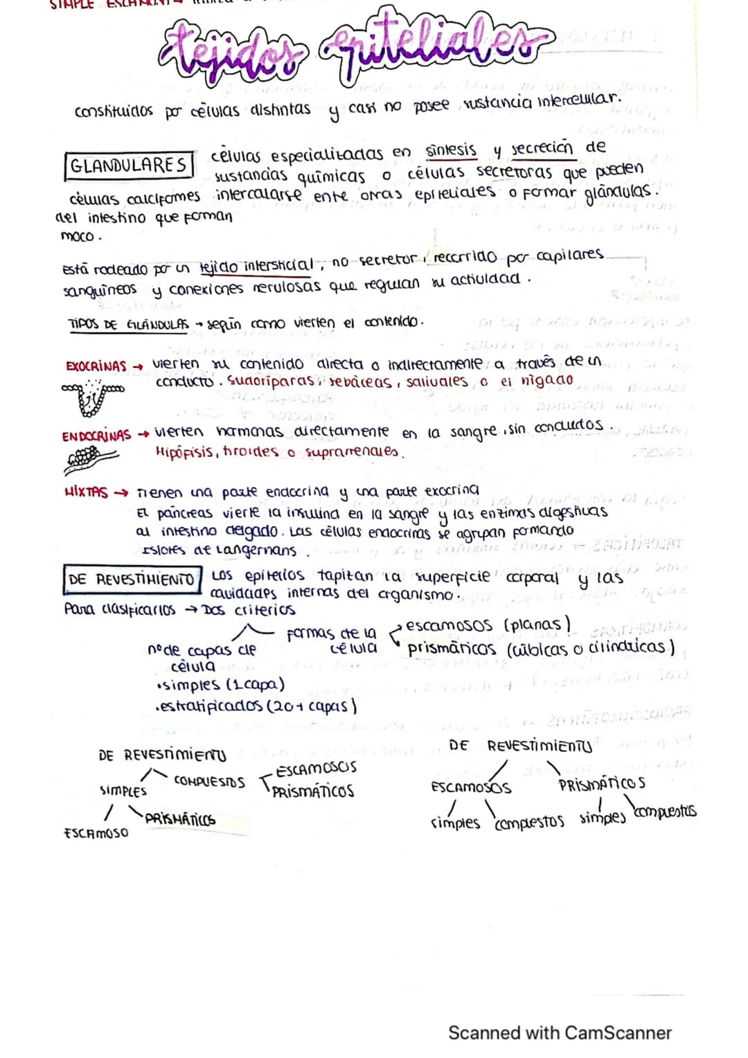 ΤΕΜΑ 1 BIO
1: LA BASE QUIMICA DE LOS ELEMENTOS
Todos los SSVV
estamos constituidos
por BIOELEMENTOS
↓
su combinación mediante
enlaces quimic