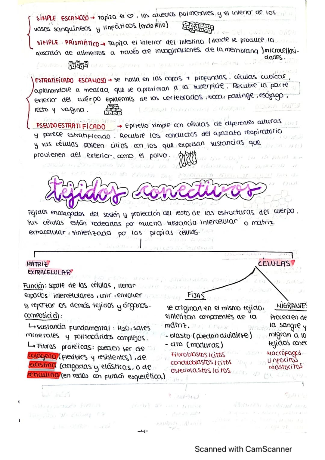 ΤΕΜΑ 1 BIO
1: LA BASE QUIMICA DE LOS ELEMENTOS
Todos los SSVV
estamos constituidos
por BIOELEMENTOS
↓
su combinación mediante
enlaces quimic