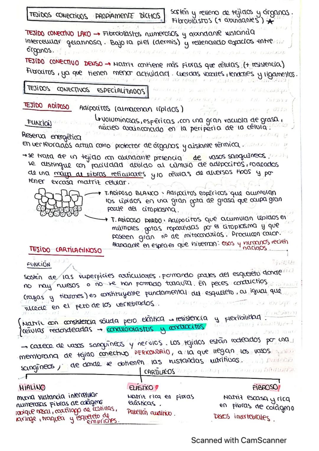 ΤΕΜΑ 1 BIO
1: LA BASE QUIMICA DE LOS ELEMENTOS
Todos los SSVV
estamos constituidos
por BIOELEMENTOS
↓
su combinación mediante
enlaces quimic