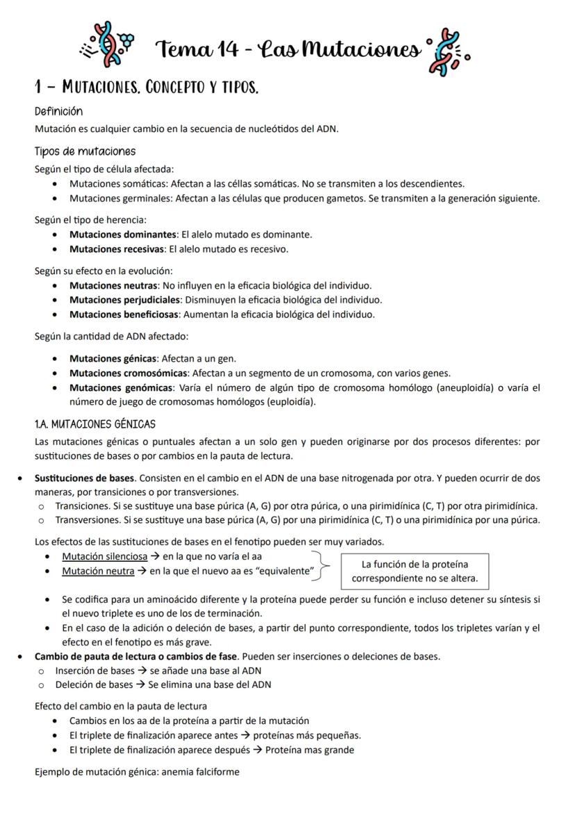 ●
●
1- MUTACIONES, CONCEPTO Y TIPOS.
Definición
Mutación es cualquier cambio en la secuencia de nucleótidos del ADN.
Según el tipo de herenc