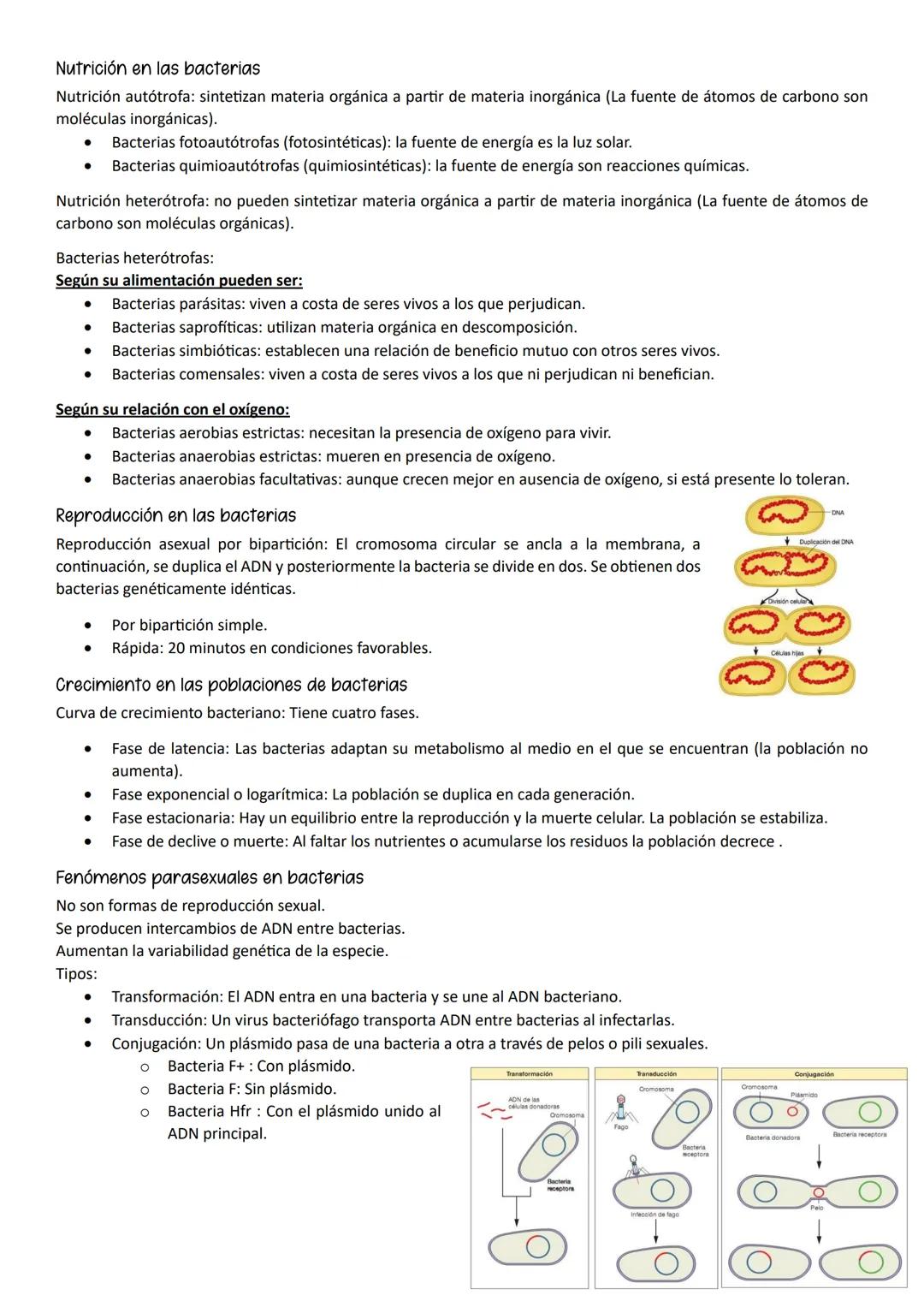 ●
●
1- MUTACIONES, CONCEPTO Y TIPOS.
Definición
Mutación es cualquier cambio en la secuencia de nucleótidos del ADN.
Según el tipo de herenc