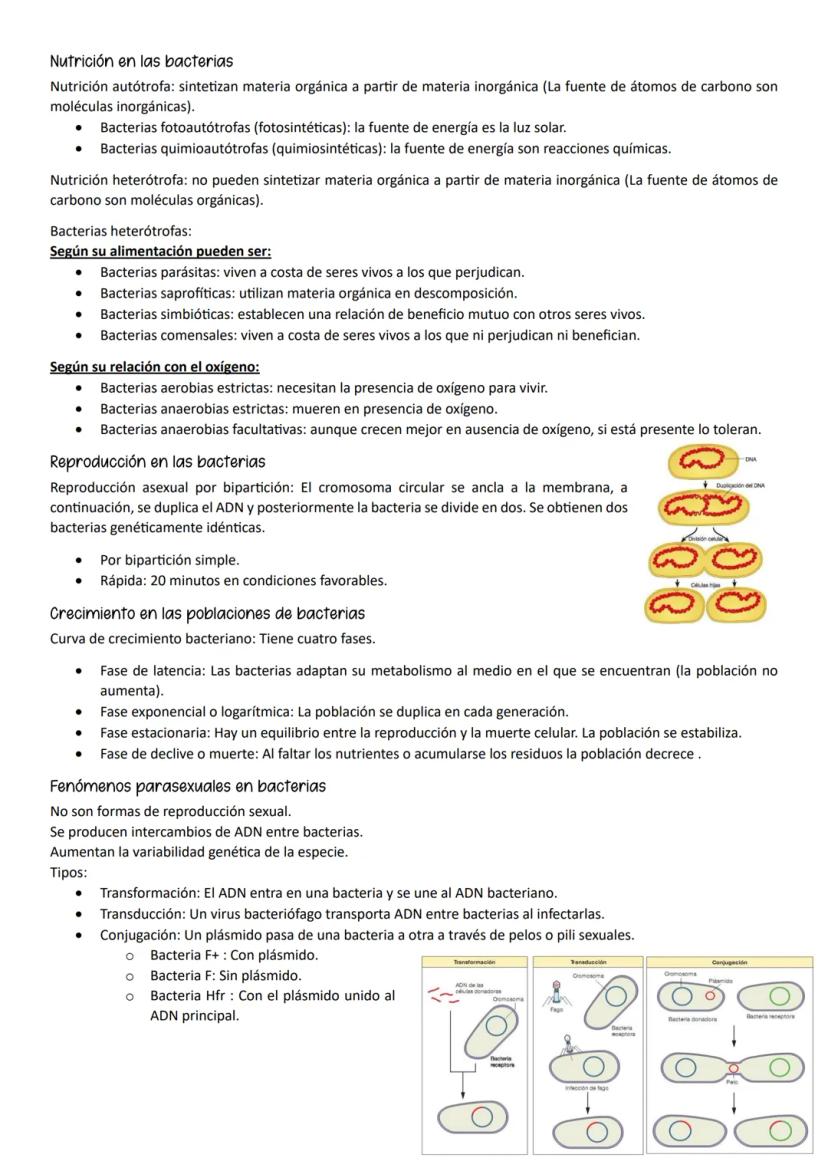 ●
●
1- MUTACIONES, CONCEPTO Y TIPOS.
Definición
Mutación es cualquier cambio en la secuencia de nucleótidos del ADN.
Según el tipo de herenc