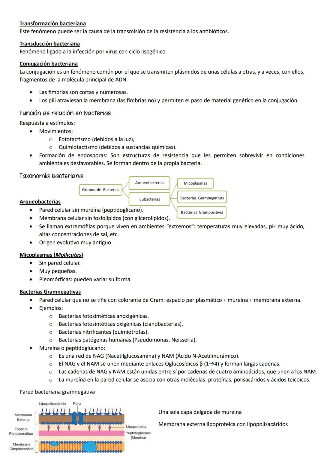 ●
●
1- MUTACIONES, CONCEPTO Y TIPOS.
Definición
Mutación es cualquier cambio en la secuencia de nucleótidos del ADN.
Según el tipo de herenc