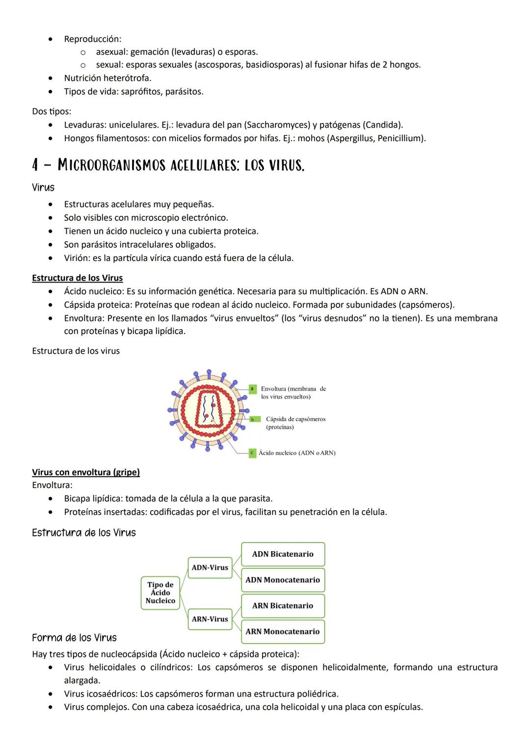 ●
●
1- MUTACIONES, CONCEPTO Y TIPOS.
Definición
Mutación es cualquier cambio en la secuencia de nucleótidos del ADN.
Según el tipo de herenc