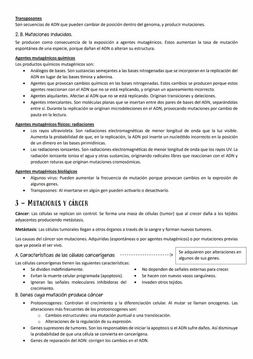 ●
●
1- MUTACIONES, CONCEPTO Y TIPOS.
Definición
Mutación es cualquier cambio en la secuencia de nucleótidos del ADN.
Según el tipo de herenc