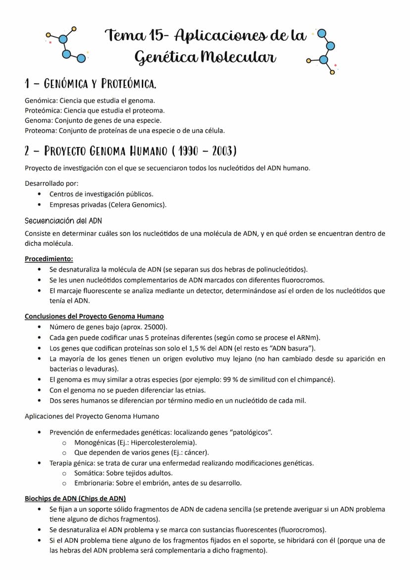 ●
●
1- MUTACIONES, CONCEPTO Y TIPOS.
Definición
Mutación es cualquier cambio en la secuencia de nucleótidos del ADN.
Según el tipo de herenc