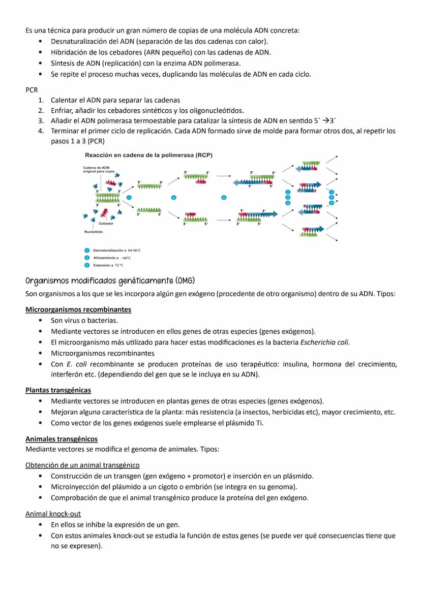 ●
●
1- MUTACIONES, CONCEPTO Y TIPOS.
Definición
Mutación es cualquier cambio en la secuencia de nucleótidos del ADN.
Según el tipo de herenc