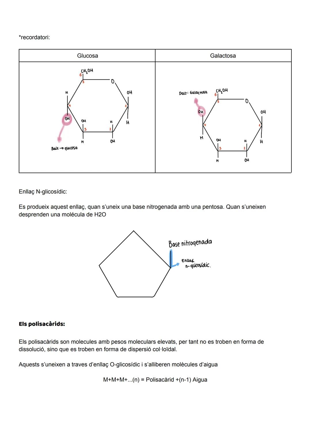 UD 2: ELS GLÚCIDS

Els glúcids (o sucres), anomenats així perquè molts són dolços, aquests són biomolècules formades
principalment per carbo