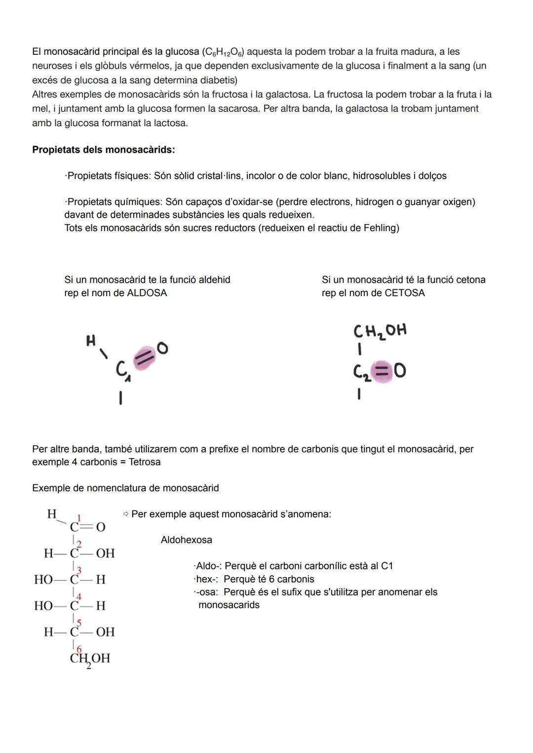 UD 2: ELS GLÚCIDS

Els glúcids (o sucres), anomenats així perquè molts són dolços, aquests són biomolècules formades
principalment per carbo