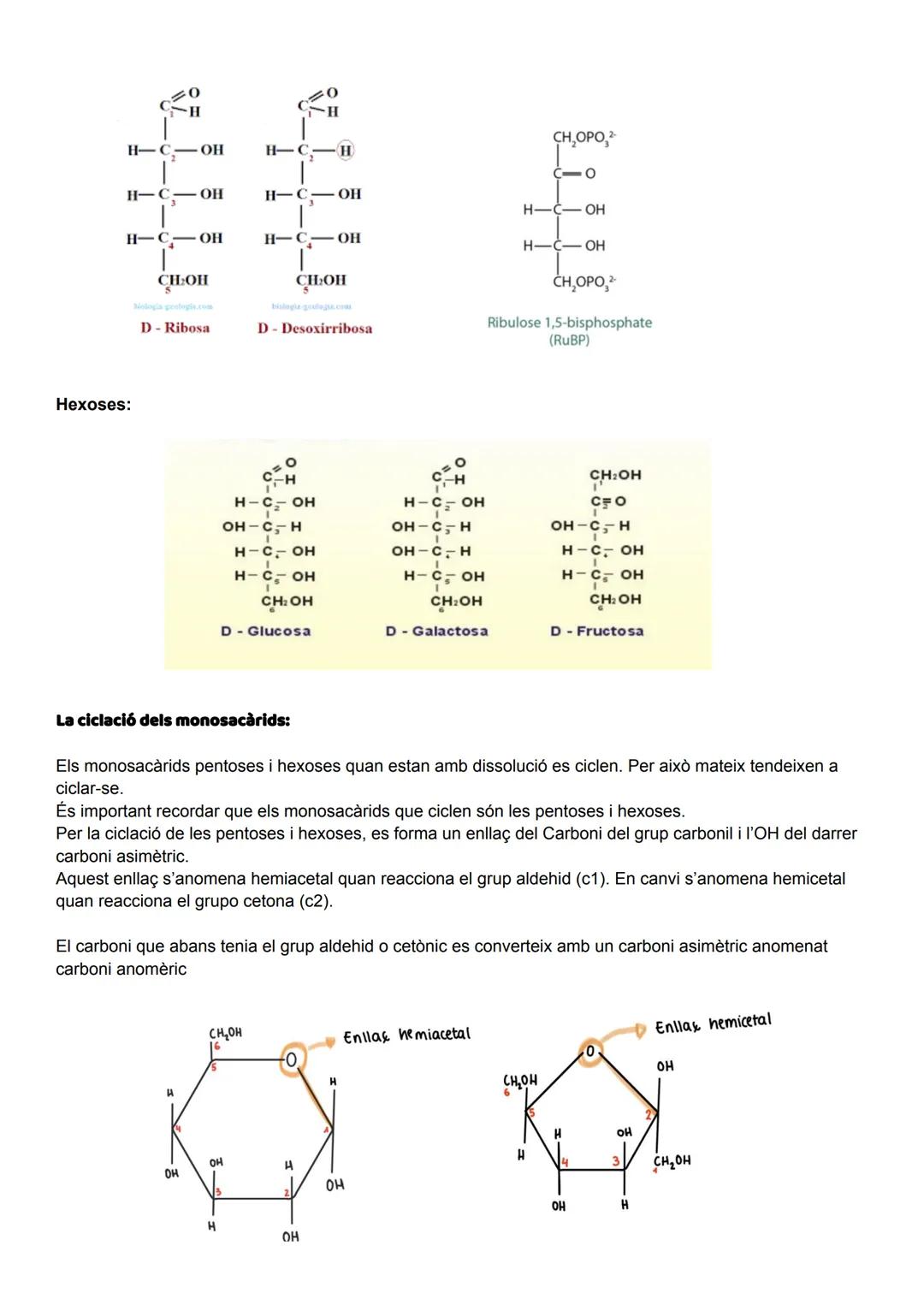 UD 2: ELS GLÚCIDS

Els glúcids (o sucres), anomenats així perquè molts són dolços, aquests són biomolècules formades
principalment per carbo